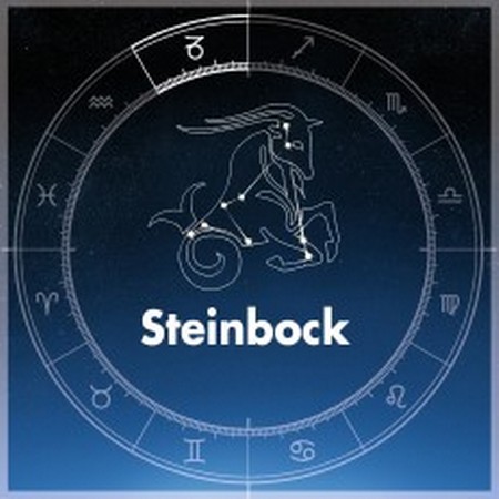 10. Sternzeichen Steinbock