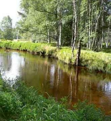 Smetana-Moldau-Thema-Geburt-Moldau Smetana-Moldau-Thema-Geburt-Moldau